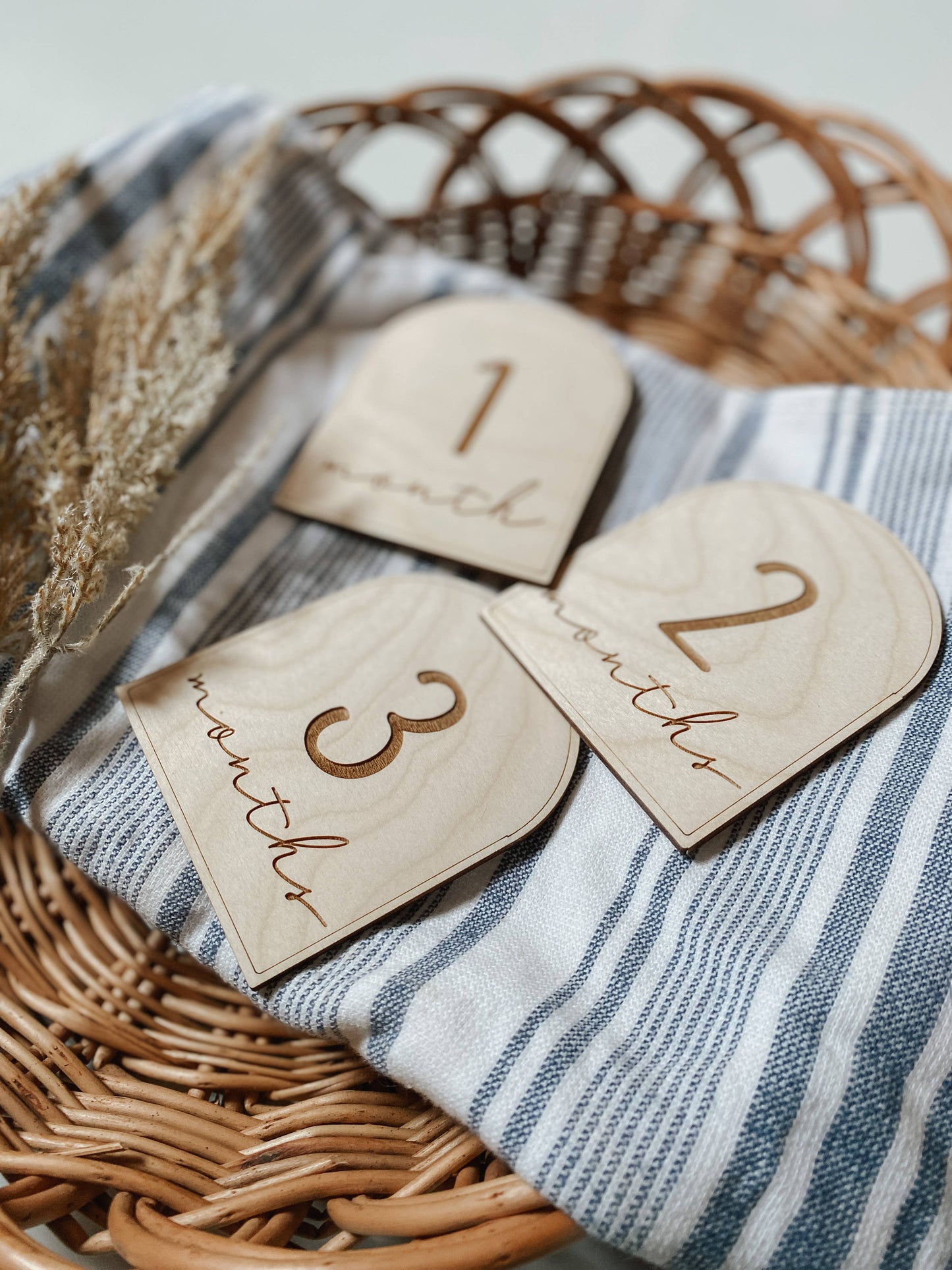 Arrow Town Designs - Wooden Monthly Milestone Cards