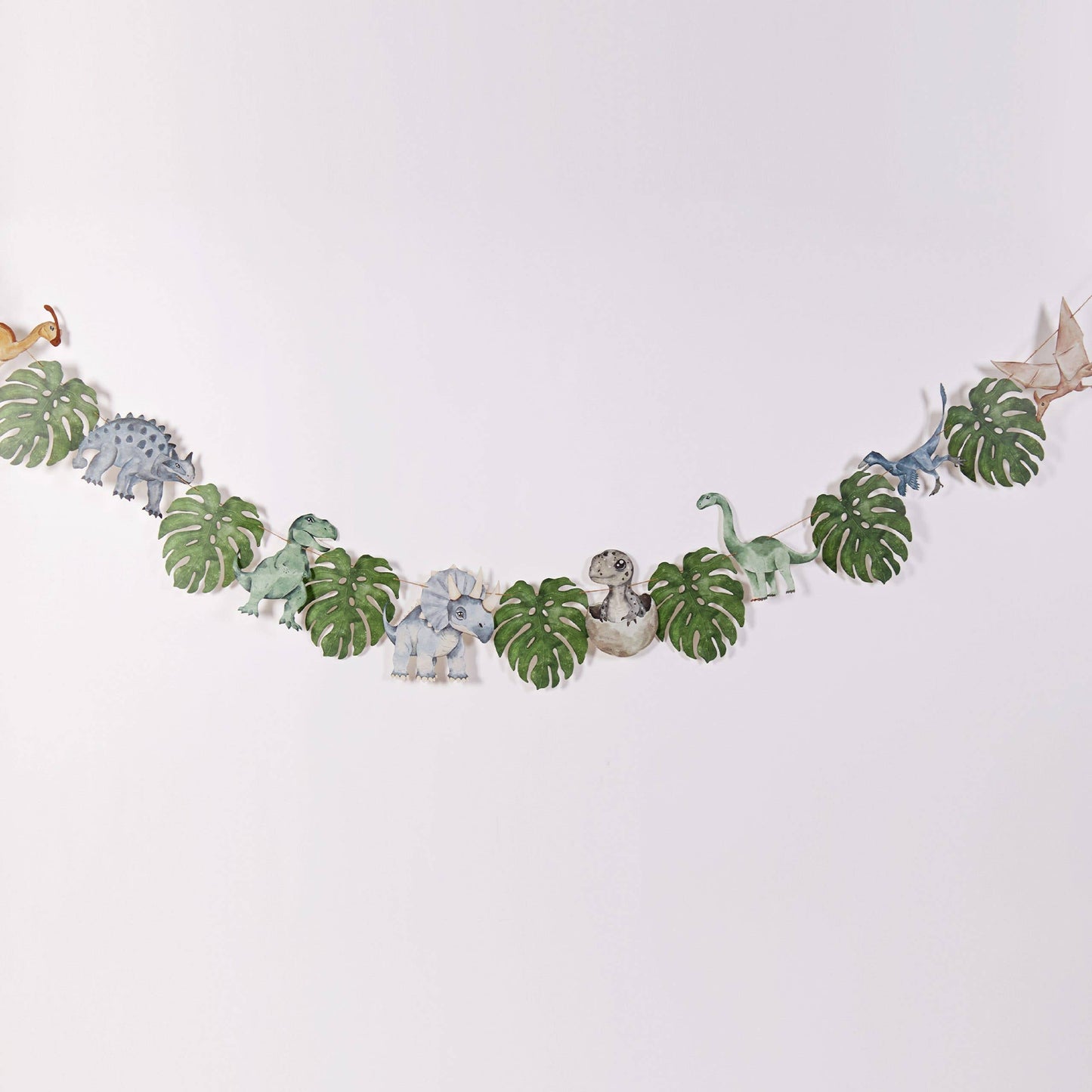 Joy Ladder LLC - Dinosaur Party Banner – Kids Party Decor