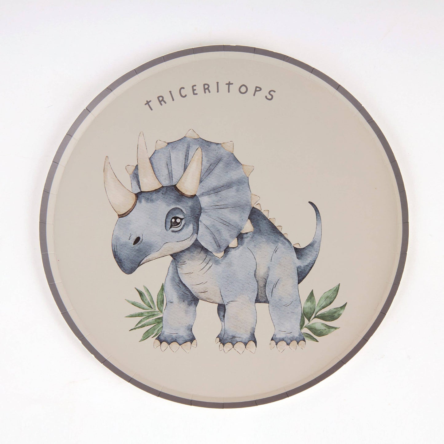 Joy Ladder LLC - Dinosaur Paper Plates – 8 in Partyware