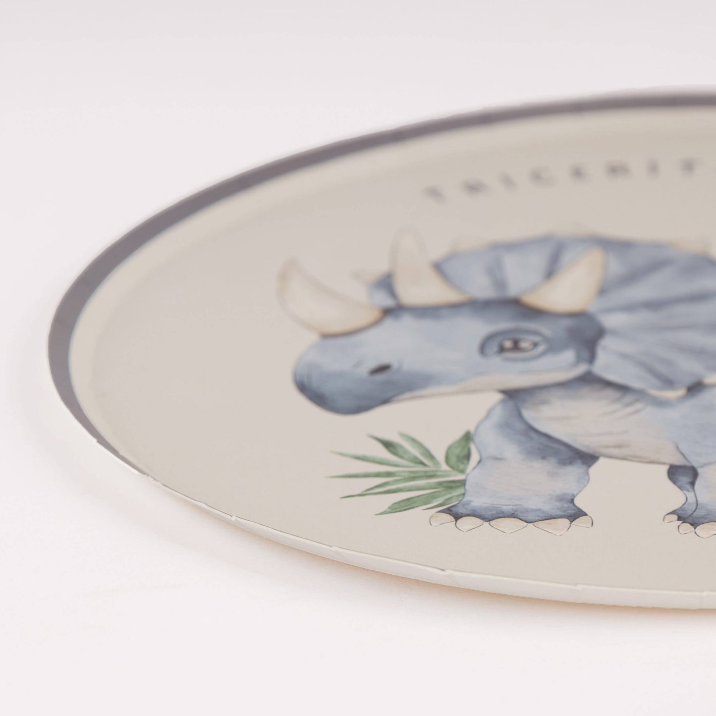 Joy Ladder LLC - Dinosaur Paper Plates – 8 in Partyware